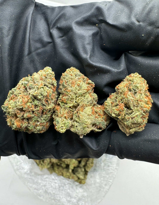 Gorilla Glue (GG#4) THCA Flower 31.25%