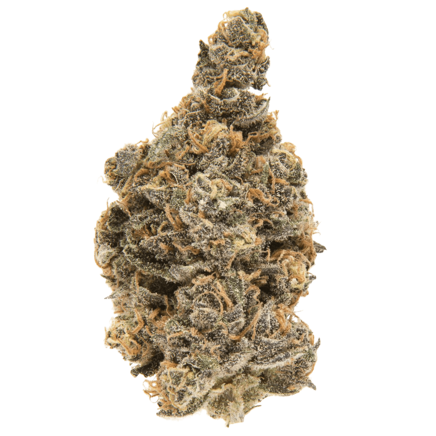Blueberry Muffin Exotic THCA Flower 27.52%