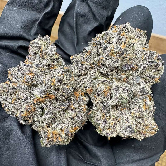 Dante's Inferno Exotic THCA Flower 36.56%